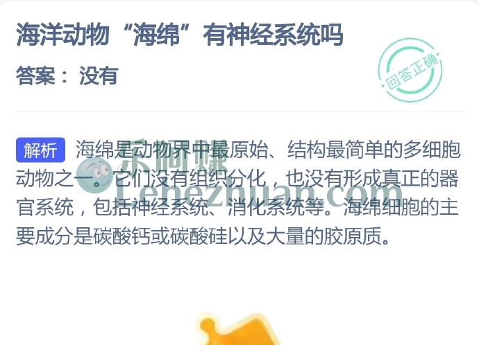 海洋动物海绵有神经系统吗?