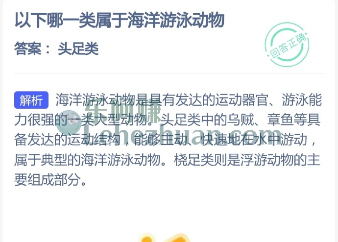 哪一类属于海洋游泳动物?