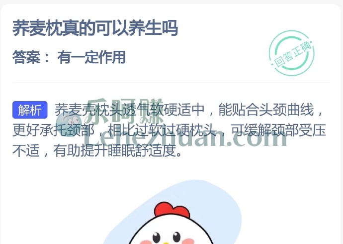 荞麦枕真的可以养生吗?