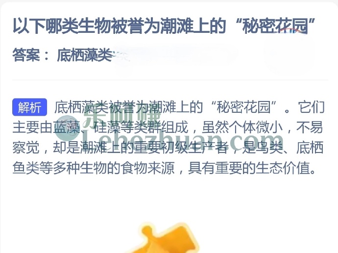 哪类生物被誉为潮滩上的秘密花园?