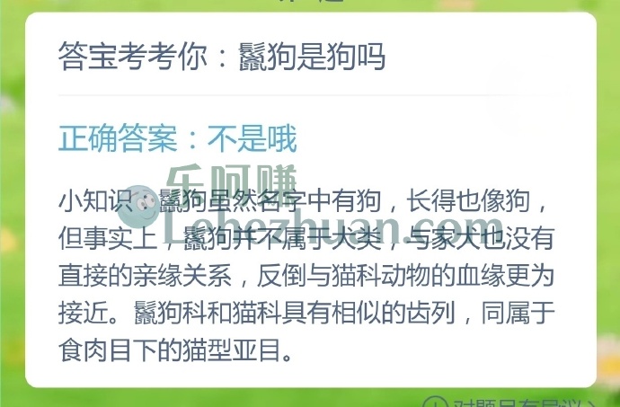 鬣狗是狗吗?