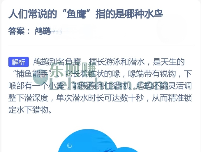 人们常说的鱼鹰指的是哪种水鸟?