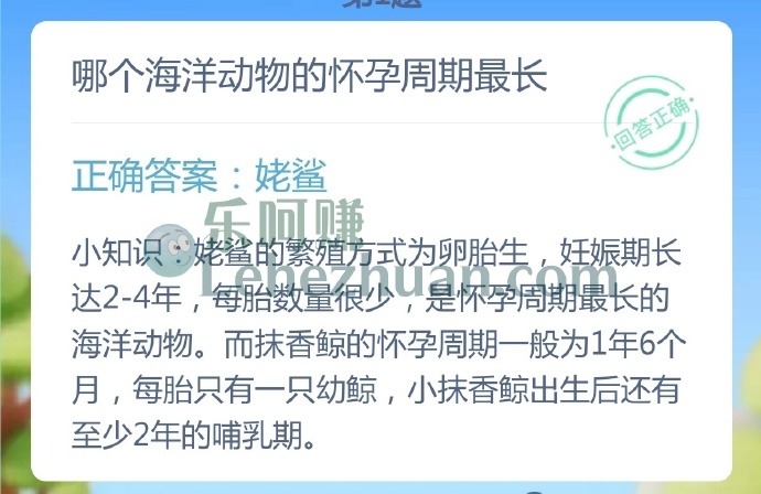 哪个海洋动物的怀孕周期最长?