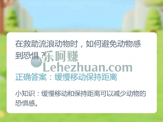 在救助流浪动物时,如何避免动物感到恐惧?