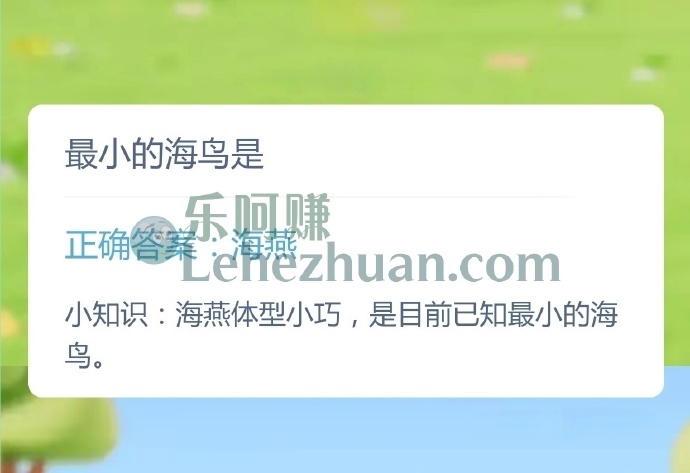 最小的海鸟是?