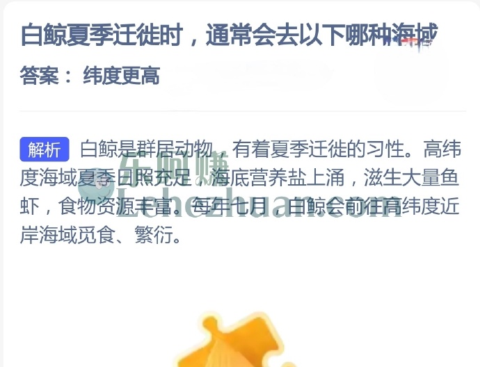 白鲸夏季迁徙时,通常会去以下哪种海域?