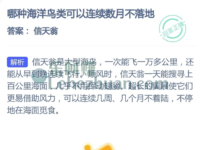 哪种海洋鸟类可以连续数月不落地?