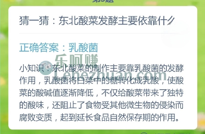 东北酸菜发酵主要依靠什么?