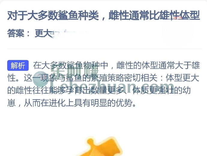 对于大多数鲨鱼种类,雌性通常比雄性体型?