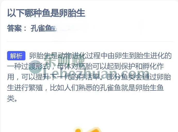 以下哪种鱼是卵胎生?