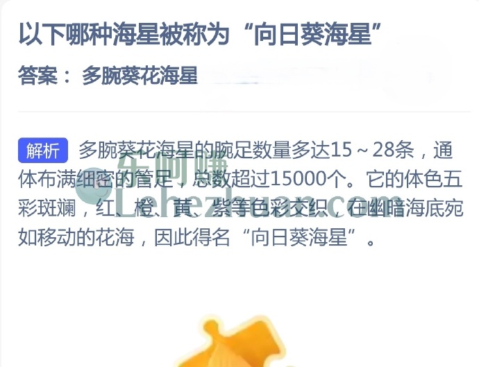 哪种海星被称为向日葵海星?