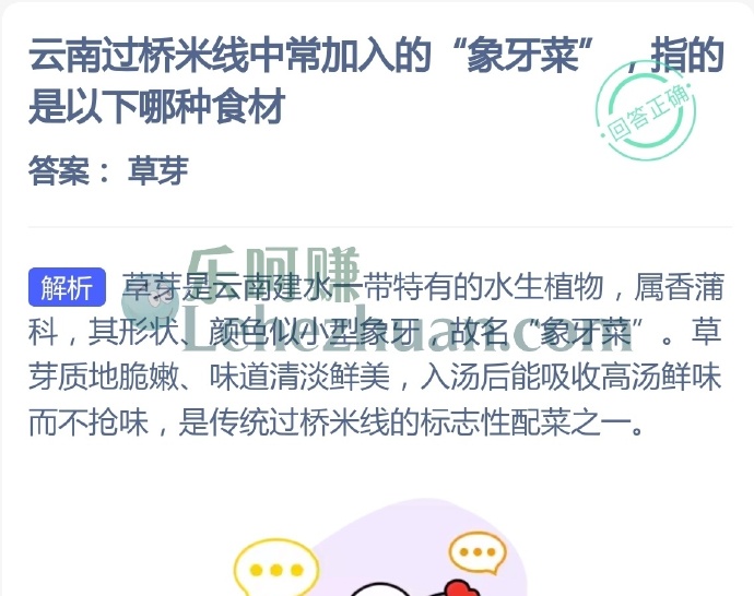 云南过桥米线中常加入的象牙菜是指哪种食材?