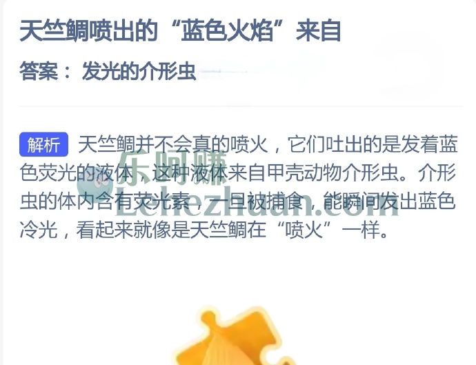 天竺鲷喷出的蓝色火焰来自?