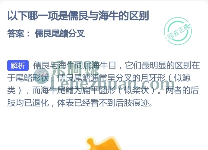 儒艮与海牛的主要区别是?