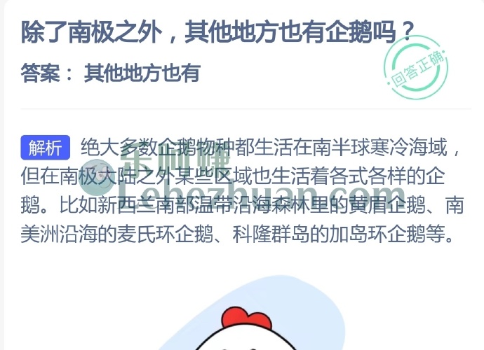 除了南极之外,其他地方也有企鹅吗?