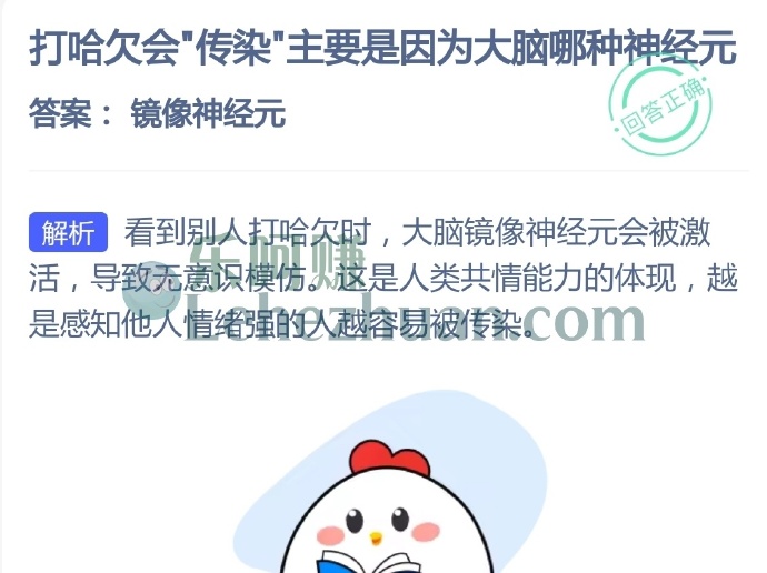 打哈欠会传染主要是因为大脑哪种神经元?