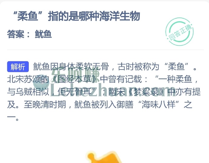 柔鱼指的是哪种海洋生物?