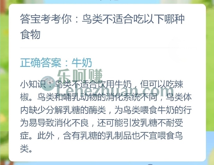 鸟类不适合吃以下哪种食物?