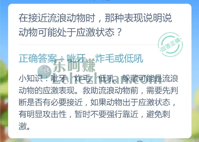 在接近流浪动物时,那种表现说明说动物可能处于应激状态?