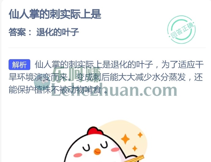 仙人掌的刺实际上是?