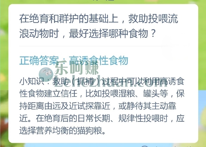 在绝育和群护的基础上,救助投喂流浪动物时,最好选择哪种食物?
