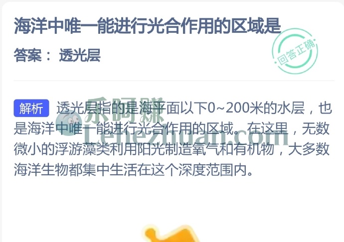 海洋中唯一能进行光合作用的区域是?