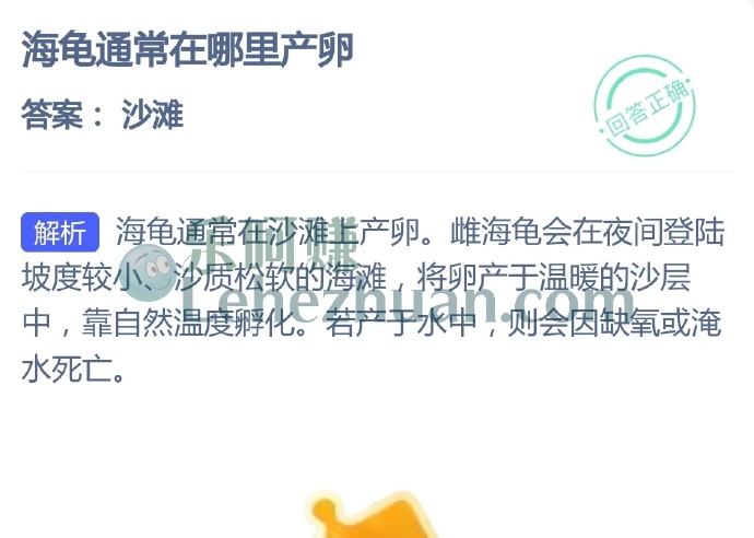 海龟通常在哪里产卵?