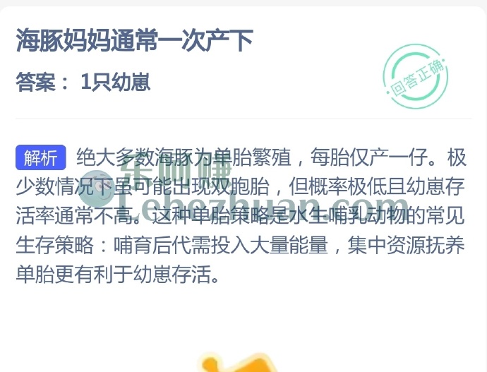 海豚妈妈通常一次产下?