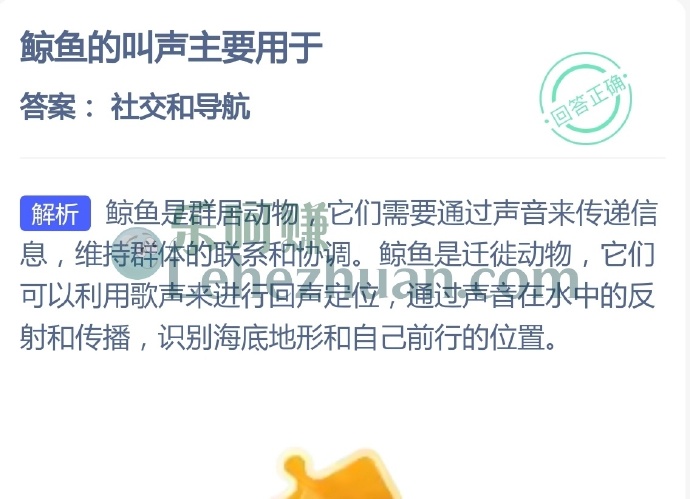 鲸鱼的叫声主要用于?