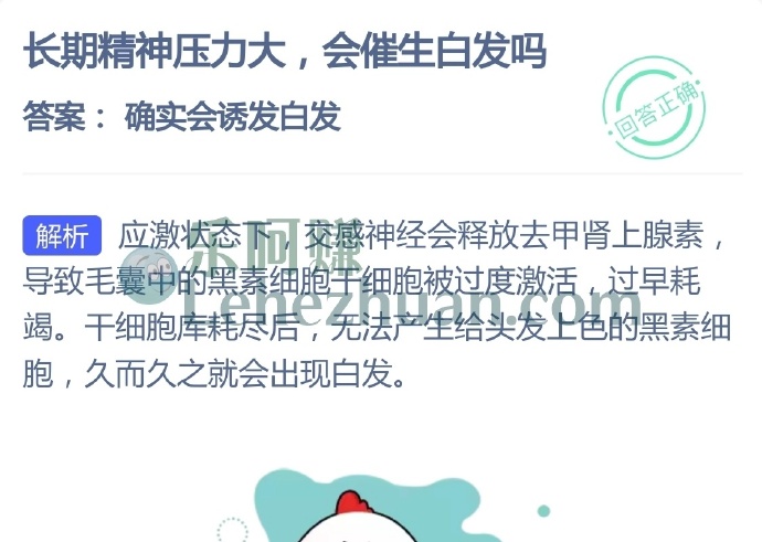 长期精神压力大,会催生白发吗?